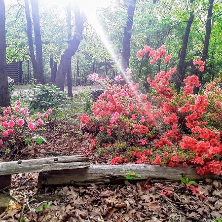 Cherokee Mountain Log Cabins Eureka Springs Bagian luar foto