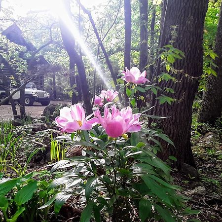 Cherokee Mountain Log Cabins Eureka Springs Bagian luar foto