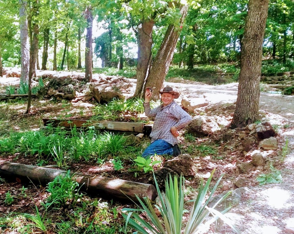 Cherokee Mountain Log Cabins Eureka Springs Bagian luar foto