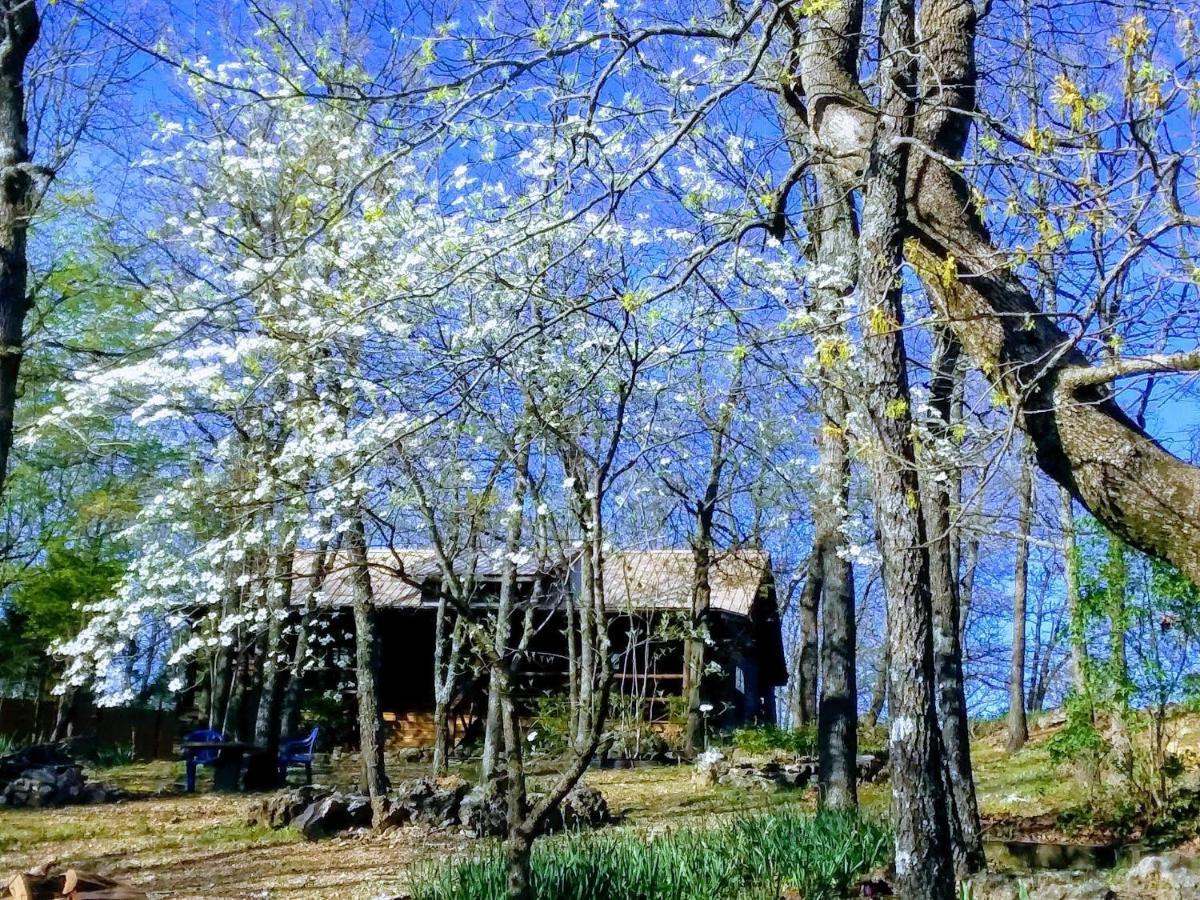 Cherokee Mountain Log Cabins Eureka Springs Bagian luar foto