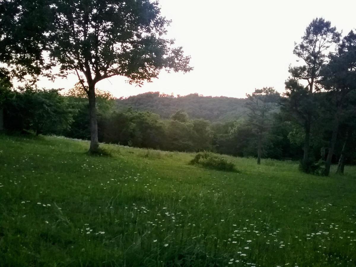 Cherokee Mountain Log Cabins Eureka Springs Bagian luar foto